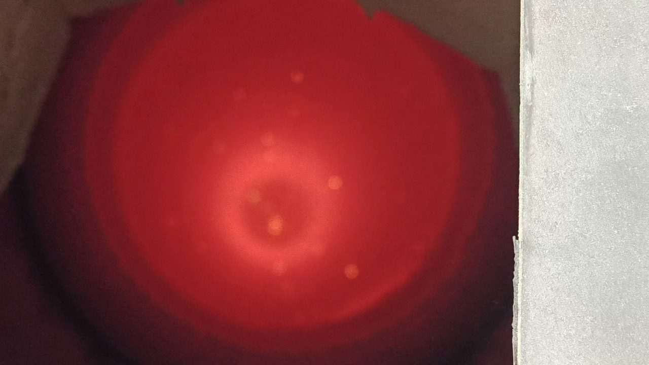 南能模块化可移动式垃圾焚烧设备实拍