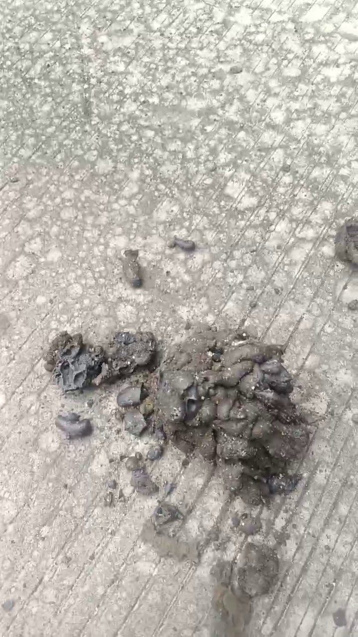南能模块化可移动式垃圾焚烧设备实拍